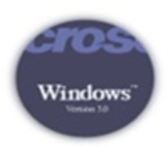 Windows 3.0