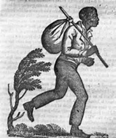 New York Frees Slaves