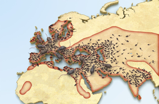 First evidence of Black Death