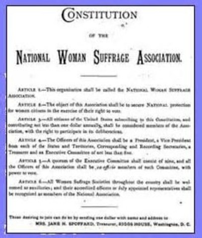 National Women's Suffrage Association