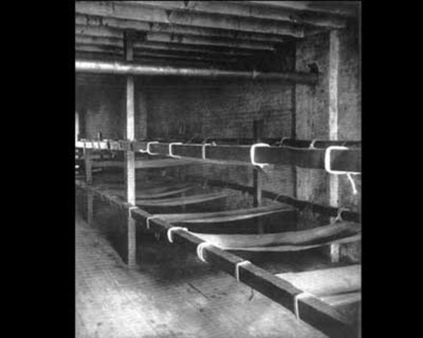 Jacob Riis publishes " How the Other Half Lives"