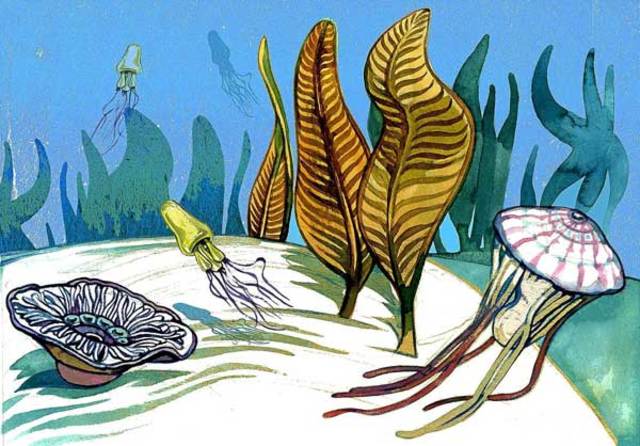 SURGIMIENTO DE LA PRIMERA AGRUPACION NEURONAL