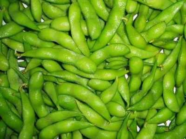 The Chinese Early Use of Fermentation!