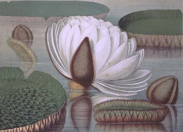 William Sharp (1803-1875)