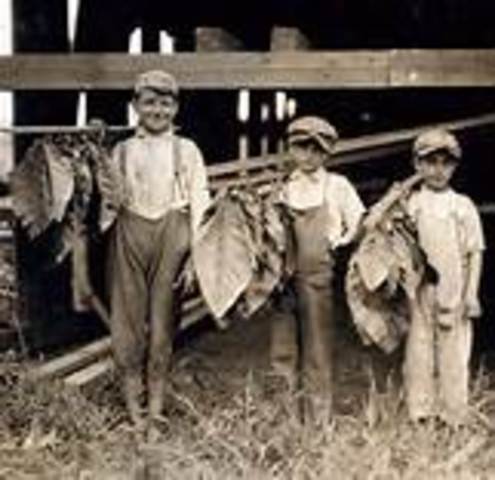 The National Child Labor Committee
