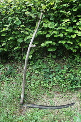 The Scythe first used in Europe for farming and cutting grass around the 1200-1300 AD.  This was how people maintained there lawns up to the invention and distribution of push mowers in the early 20th century.