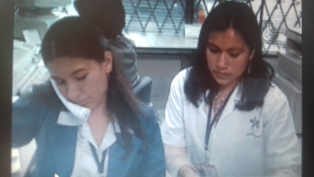 Otros Programas de formación en salud