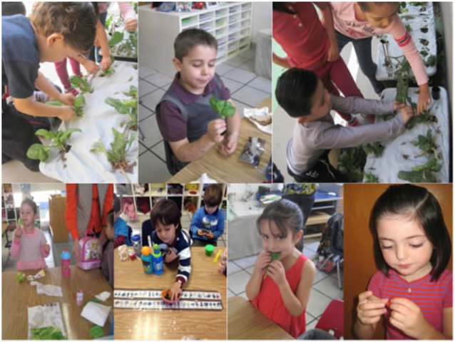 "Método de proyectos"