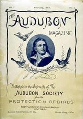 First Audubon Society Formed