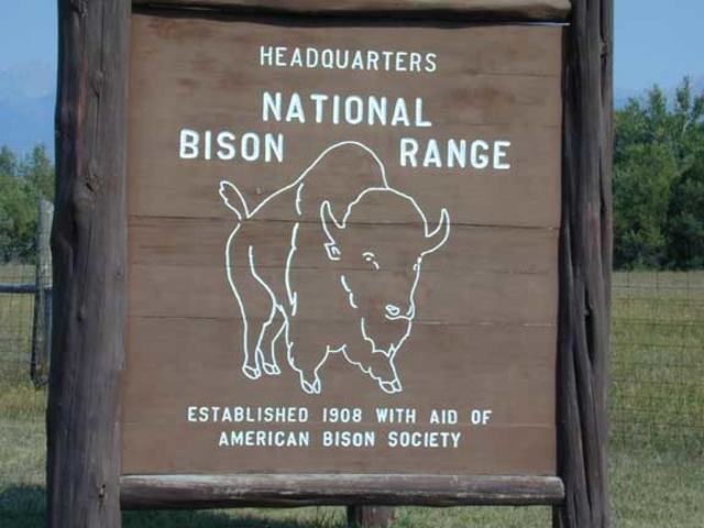 Bison Reserve Established