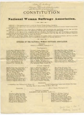 National Woman Suffrage Association (NWSA)