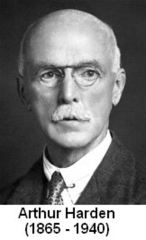 Arthur Harden and HansEuler-Chelpin
