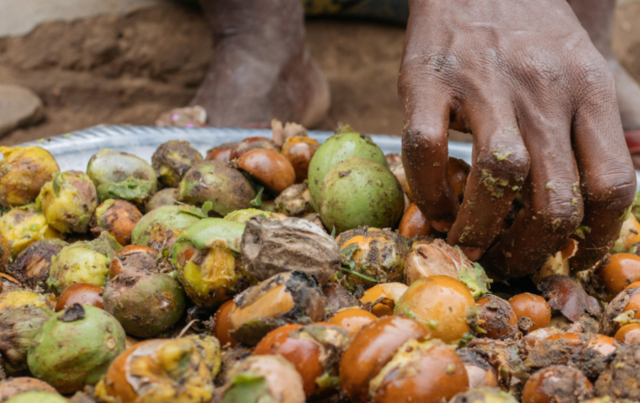 TUESDAY - Document AgNRM