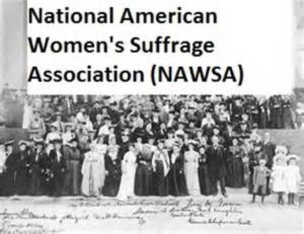 The National American Woman Suffrage Association (NAWSA) was formed