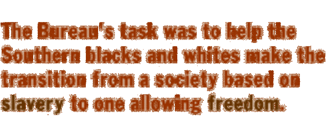 The Freedman's Bureau establised