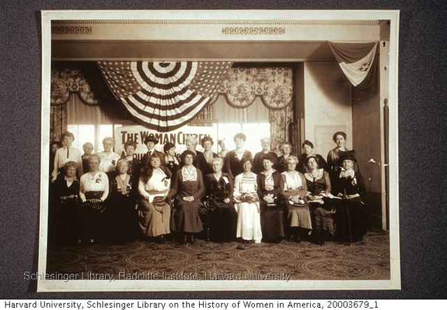 National American Woman Suffrage Association (NAWSA)
