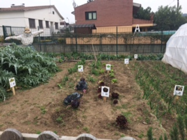 3r-A CLAVAR CARTELLS