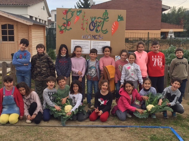 3r-A COLLIM COLIFLORS