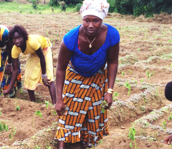 TUESDAY - Document F2F