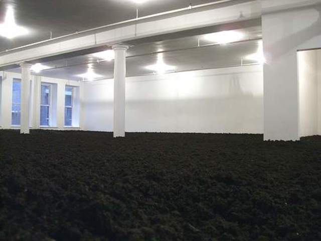 Walter De Maria espone l'opera "Earthroom" a Monaco di Baviera.