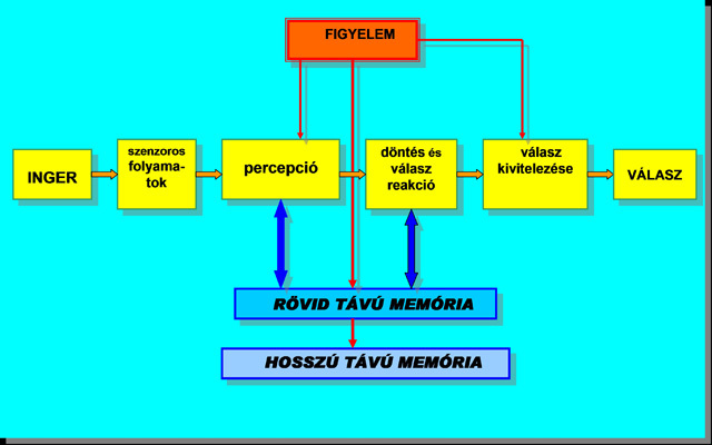 Skinner - A programozott oktatás