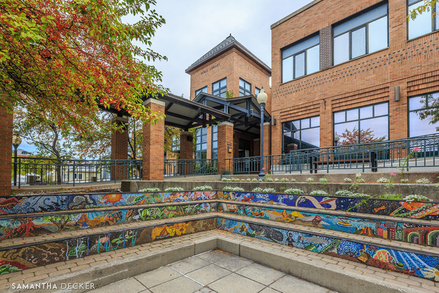 Began to Make Visits to the Public Library