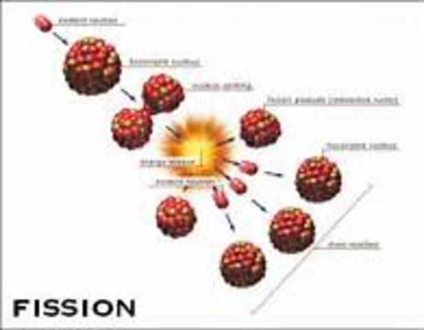Nuclear Fission is Discovered