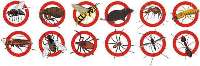 CAMPAÑAS SANITARIAS Y ACCIONES MASIVAS PARA EL CONTROL DE PLAGAS ANIMALES.