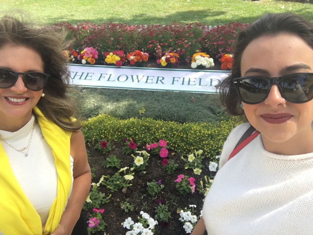 The Flower Field - Carlsbad Ranch