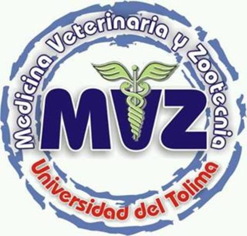 Acuerdo Nº 5 de junio de 1961 del Consejo Superior