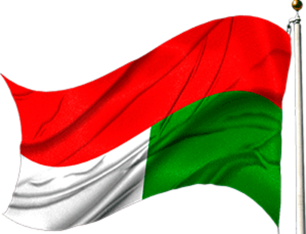 En 1989 la UT tiene los siguientes programas