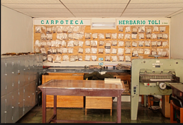 Herbario Toli Universidad del Tolima