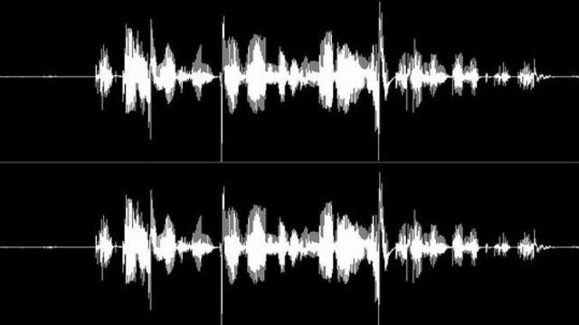 PRIMER SISTEMA DE RECONOCIMIENTO DE VOZ