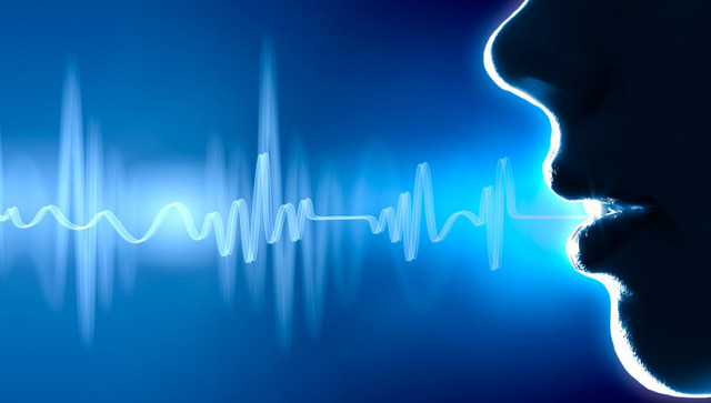 INICIO DEL DESARROLLO DEL VOCABLO