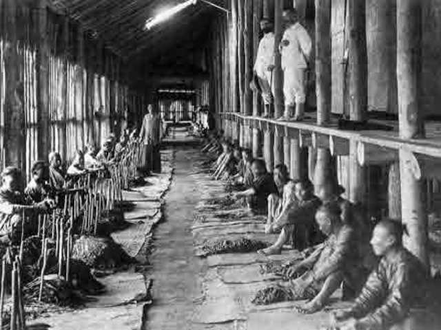 Koelies die werk weigerde worden bij wet vervolgd