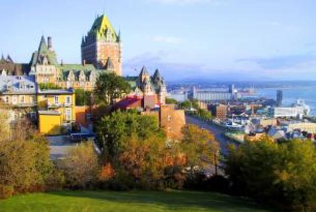 Disolución , y  reorganización