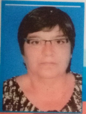 CREADORA DE LINEA DEL TIEMPO