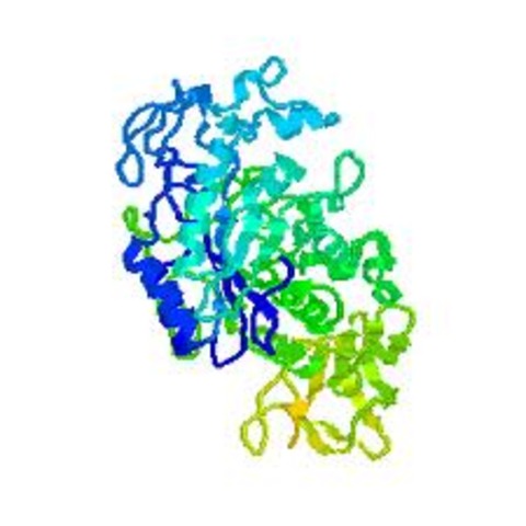 Arthur Harden, Hans Euler-Chelpin