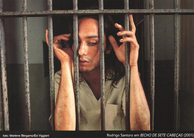 BICHO DE SETE CABEÇAS