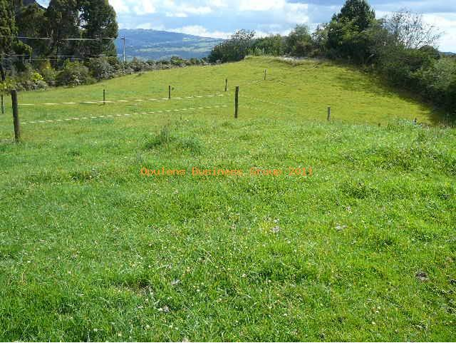 primera crisis financiera