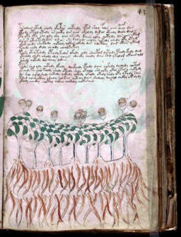 Los Manuscritos