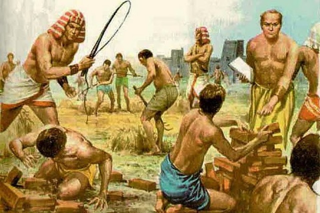 Evolución Educativa