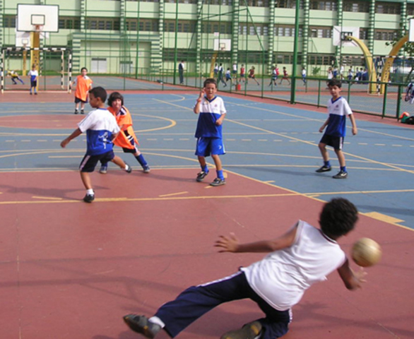 Novo parecer inclui educação física e artes como disciplinas obrigatórias.
