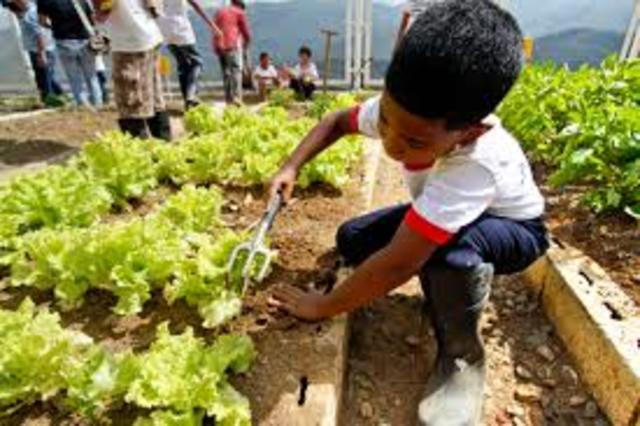 tomas moro educación ideal siglo XVI