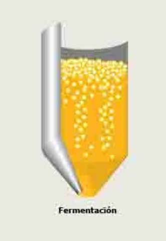 Fermentación.