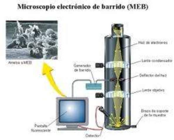 Primer Microscopio Electrónico de Barrido