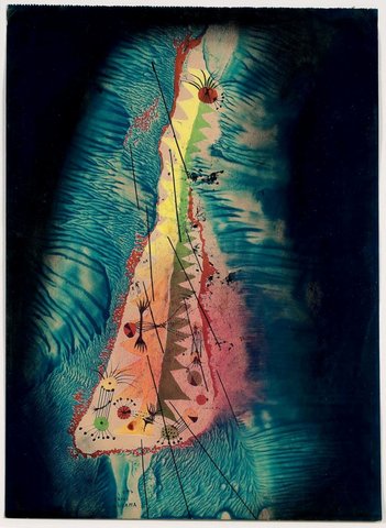 Staged solo exhibitions in Tokyo and Matsumoto