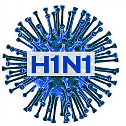 Pandemia de Gripe H1N1
