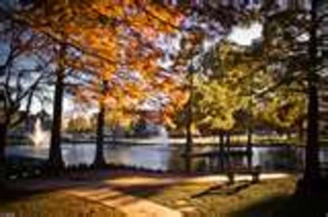 Homestead Act of 1862