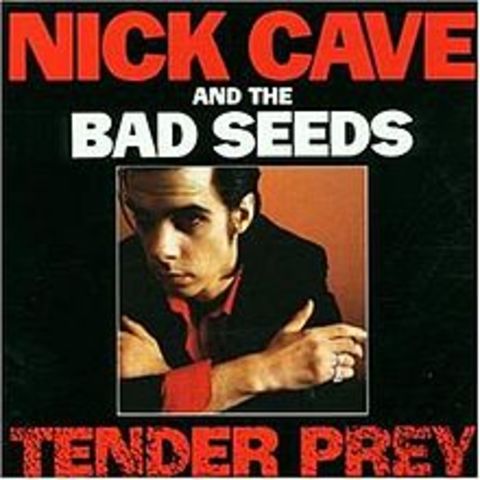 Nick Cave and The Bad Seeds - Tender pray